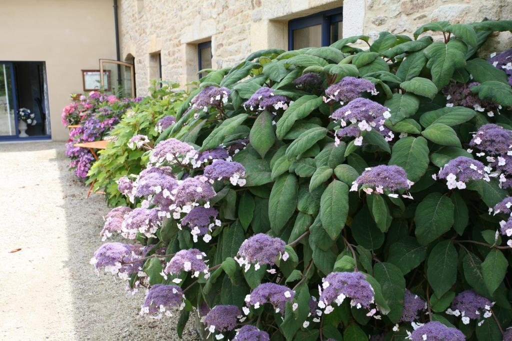 Hotel - Restaurant L'Hortensia Noyalo 외부 사진
